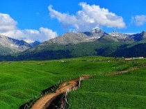 世界公认十部顶级战争电影排名（全球十大战争大片）世界公认的十大富豪排名