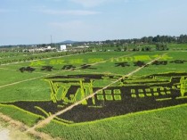 2021最火中国舞,王者荣耀公孙离央视网络春晚满分出道，破圈演绎“一舞惊鸿”