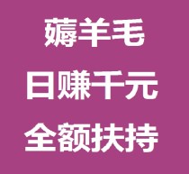 日赚千元，不要充值，先联系我，Space智能科技，亲测秒到账!