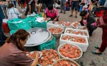 中国最震撼农村歌曲,民族唱法的歌曲有哪些