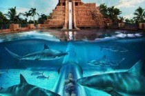 世界高空滑梯排名前十（地球上最高的滑梯）