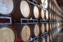 中国最衰退公司2020年正在衰退公司有哪些