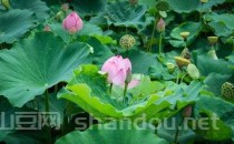 中国最温润的瓷器（中国十大著名瓷器）