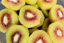 魔芋膳食纤维十大排名膳食纤维粉十大排名