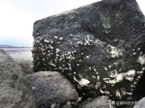 明州港是中国四大名港之一,属于今天的那个省中国最古老的海岸在哪里