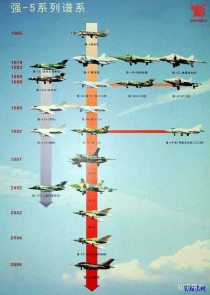 全世界最漂亮战机排名前十（世界战机颜值排名）