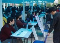 中国属于什么板块（中国 板块）