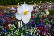 中国十大花卉博物馆2025年排行榜前十名榜单出炉