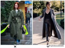 世界上最胖的蚕,蚕的资料我不懂