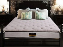 山棕垫品牌十大排名我想问下棕垫十大品牌排名?棕垫分为哪种类型？