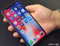 苹果花粉十大排名新疆野苹果花粉形态、特征的介绍