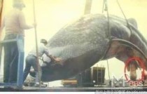 世界上最阴的时候（世界上最阴暗的是什么）