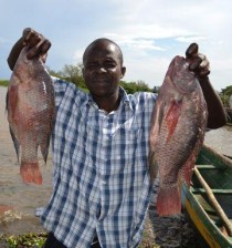 世界上最崩溃的鱼世界上最大的肉食鱼