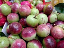 中国最顶级牛奶果,羊奶果是哪里的特产