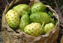 世界上最罕见的水果世界上最鲜艳的水果