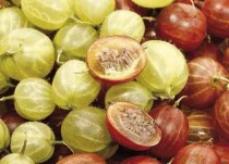 世界上最乱来的果实世界上最毒的五种水果世界上最乱来的果实有哪些