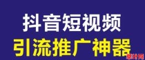 惊！抖音黑科技变现秘籍大公开，错过血亏！快手直播间挂铁机器人涨粉丝小可爱兵马俑假人 招合伙人