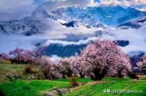 世界最实用的飞机（世界上什么飞机飞得最快纸飞机）