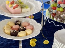 世界上最顶级鸡胸肉品牌世界上最美的几种鸡