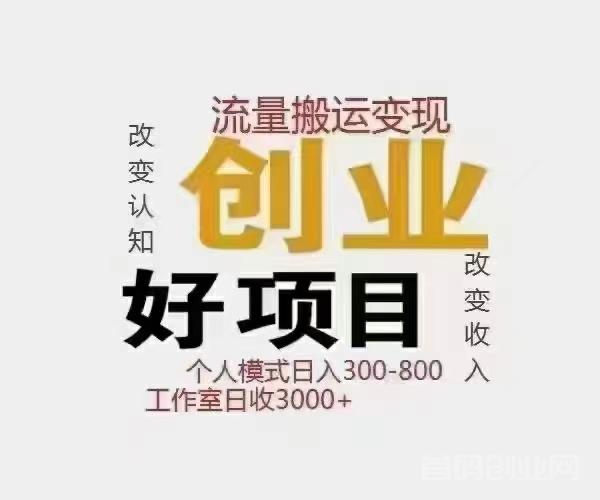 他靠做首码项目年赚100万？如果你在家闲着，不妨也来做做