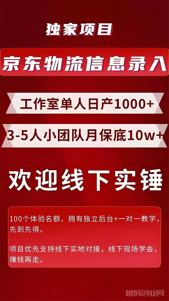 京东合伙人计划，首码项目，会复制粘贴就行，单号曰产3OO-6OO元